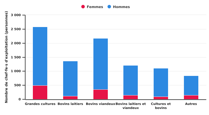 Nombre de chefs d'exploitation professionnelle selon le genre et l'OTE en 2020