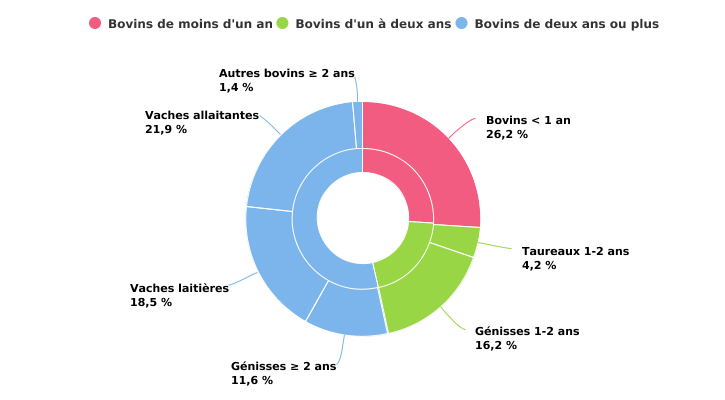 Composition du cheptel bovin en 2022