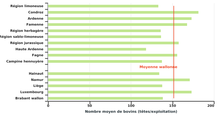 Nombre moyen de bovins par exploitation selon la région agricole ou la province en 2022