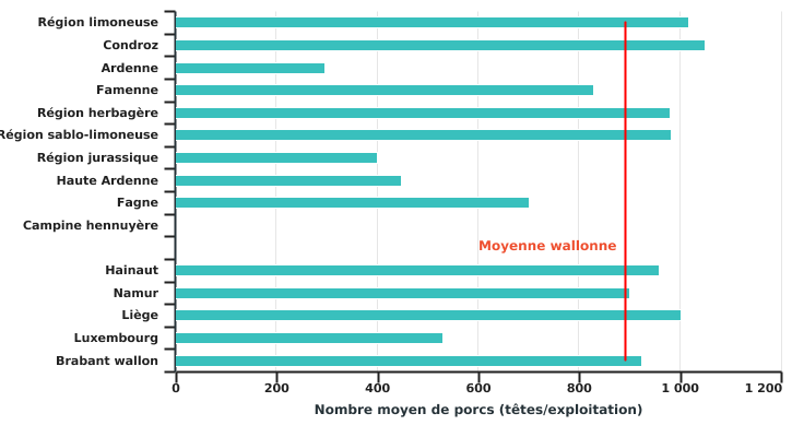 Nombre moyen de porcs par exploitation selon la région agricole ou la province en 2022