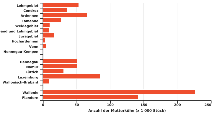 Verteilung der Mutterkühe in der Wallonie und Belgien in 2022