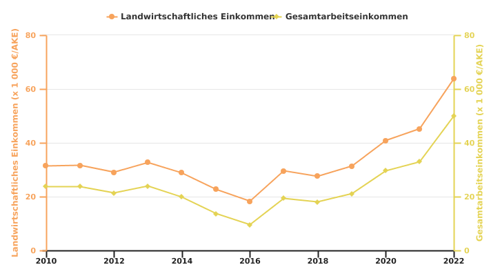 Entwicklung des Einkommens wallonischer Betriebe pro AKE (Familien- oder Gesamteinkommen)