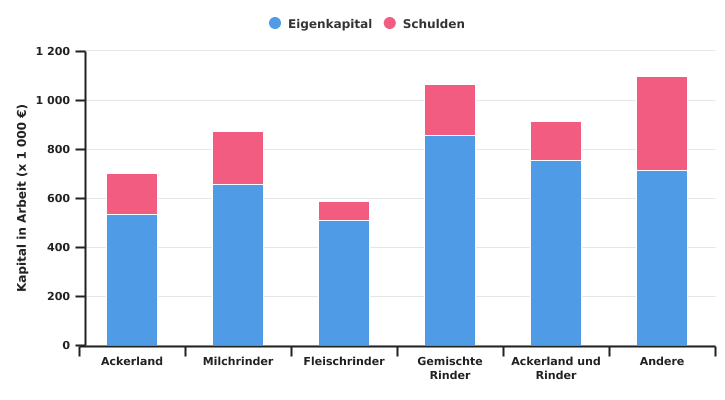 Verteilung der Verbindlichkeiten wallonischer Betriebe nach BWA in 2022