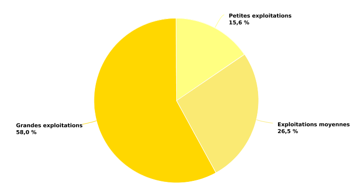 Répartition des exploitations wallonnes diversifiées selon leur dimension en 2020