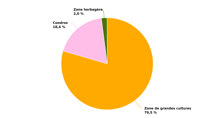 Répartition des superficies de culture de betteraves sucrières des exploitations professionnelles selon la super-région en 2022