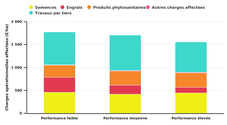 Produits de la culture de chicorée dans la zone 