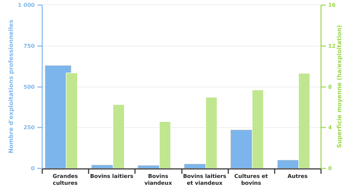 Nombre d'exploitations produisant de la chicorée et superficies moyennes consacrées à cette culture selon l'OTE en 2022