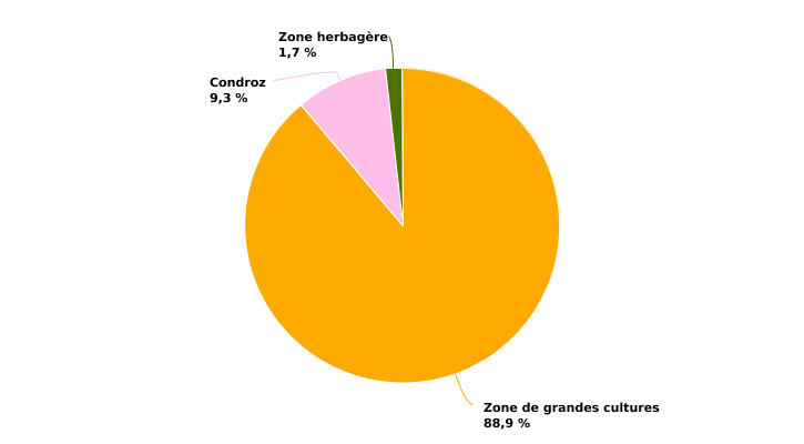 Répartition des superficies de culture de chicorée des exploitations professionnelles selon  la super-région en 2022