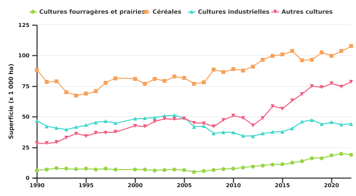 Evolution des superficies des productions végétales des exploitations spécialisées en grandes cultures