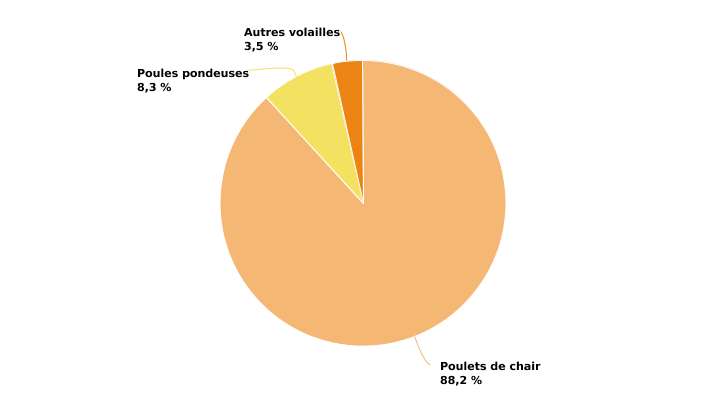 Répartition des volailles des exploitations wallonnes sous contrôle biologique en 2022