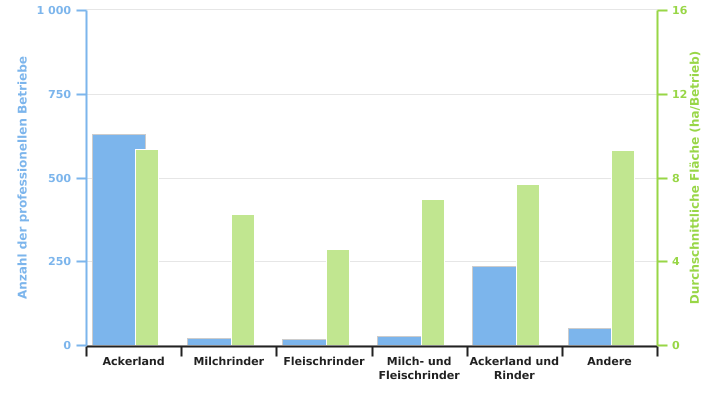 Anzahl der professionellen Betriebe, die Chicorée produzieren, und durchschnittliche dieser Kultur gewidmete Anbaufläche gemäß der BWA in 2022