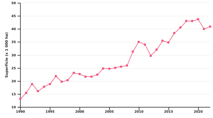 Evolution des surfaces de pomme de terre (tubercules et plants)