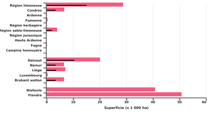 Répartition des superficies de pommes de terre en Wallonie et en Belgique en 2022