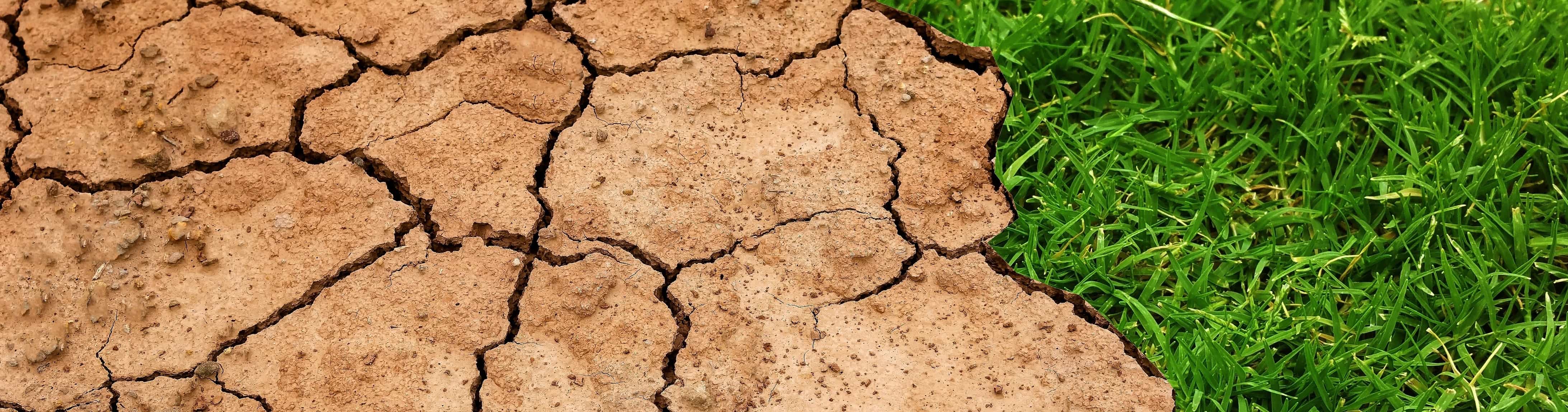 498f6555-cc77-4661-95b3-758fc51ba33a