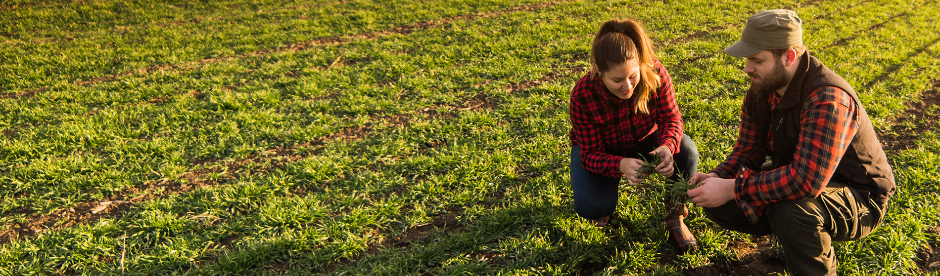 banner-image
