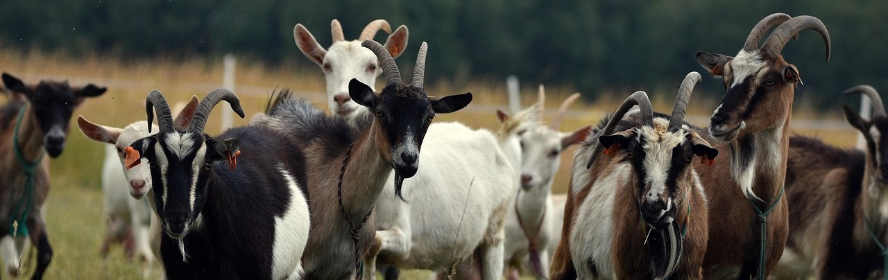 023beed9-ebce-4436-84b4-d134b60a0139