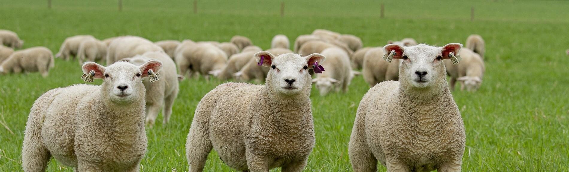 6883304c-c7f8-4093-a494-b49a1271cc36