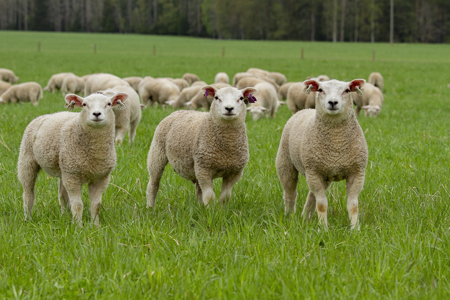 87dcdf35-962a-439e-b378-e6f9236b8d93