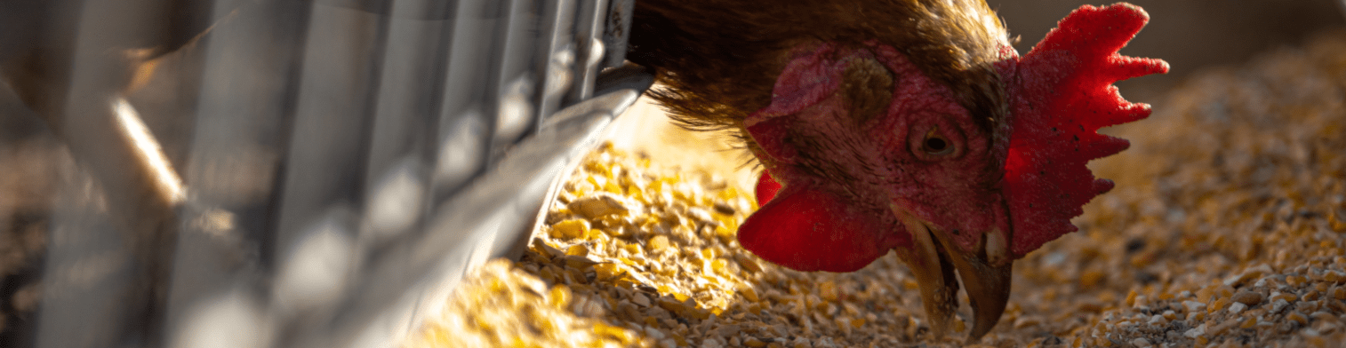 60369341-07ba-492d-9baf-6354ada652ec