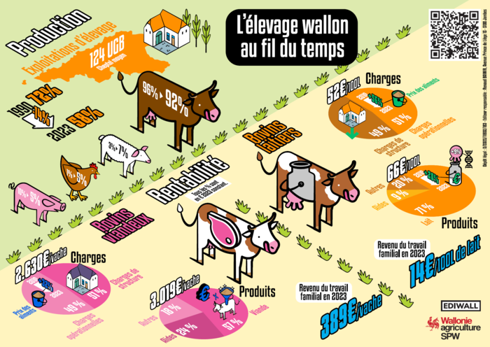 reference-dimage-1