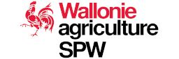 Coq wallon - emblème de la Wallonie
