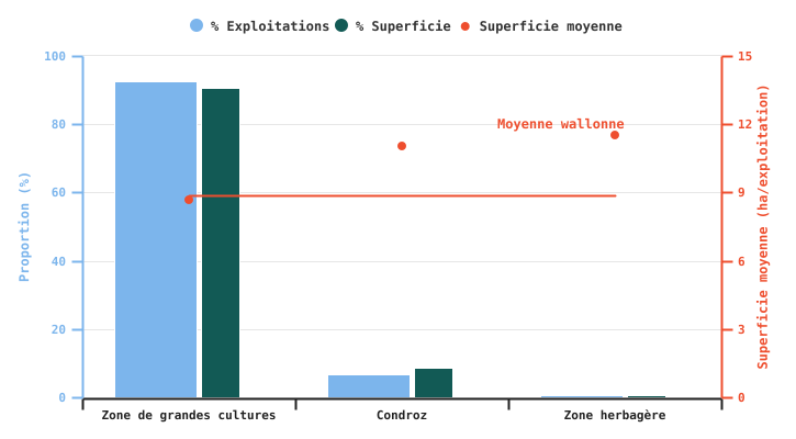 Proportion d'exploitations produisant des chicorées industrielles et superficies consacrées à cette culture selon la super-région en 2024