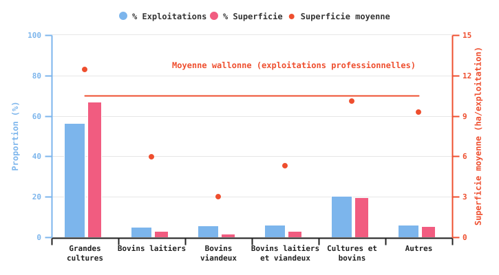 Proportion d'exploitations professionnelles produisant des pommes de terre de conservation et superficies consacrées à cette culture selon l'OTE en 2024