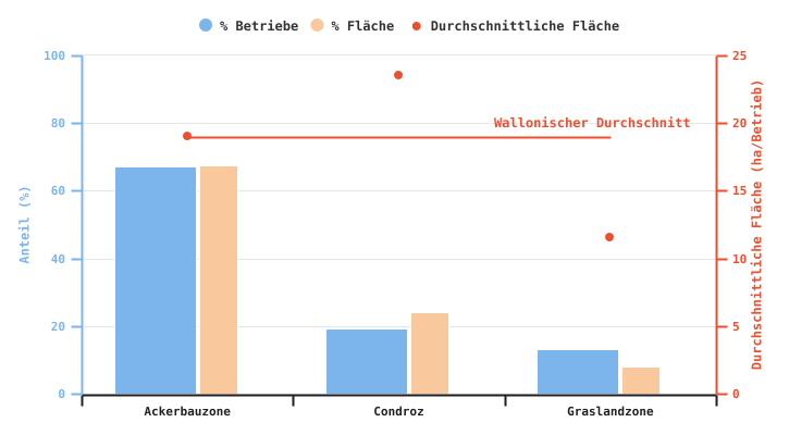 Anzahl der Betriebe, die Winterweizen produzieren, und durchschnittliche dieser Kultur gewidmete Anbaufläche nach Superregion im Jahr 2024