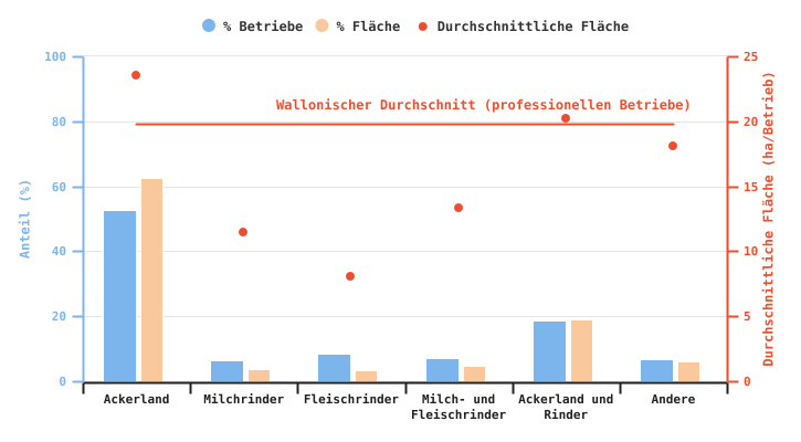 Anzahl der professionellen Betriebe, die Winterweizen produzieren, und durchschnittliche für diese Kultur genutzte Anbaufläche nach BWA im Jahr 2024