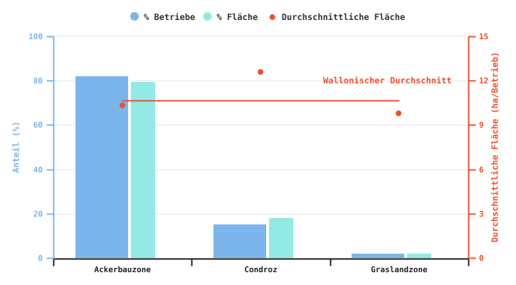 Anteil der Betriebe, die Zuckerrüben produzieren, und durchschnittliche dieser Kultur gewidmete Anbaufläche gemäß der Superregion im Jahr 2024