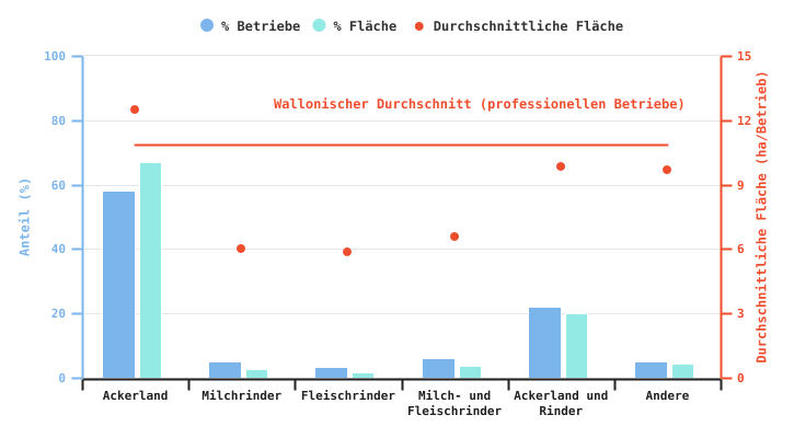 Anzahl der professionellen Betriebe, die Zuckerrüben produzieren, und durchschnittliche für diese Kultur genutzte Anbaufläche gemäß der BWA im Jahr 2024