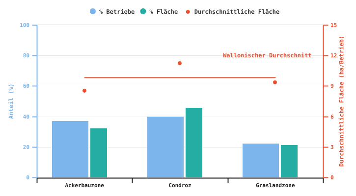 Anteil der Betriebe, die Raps produzieren, und dieser Kultur gewidmete Anbaufläche gemäß der Superregion in 2024