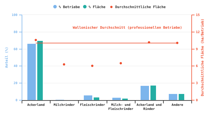 Anzahl der professionellen Betriebe, die Raps produzieren, und durchschnittliche für diese Kultur genutzte Anbaufläche gemäß der BWA im Jahr 2024