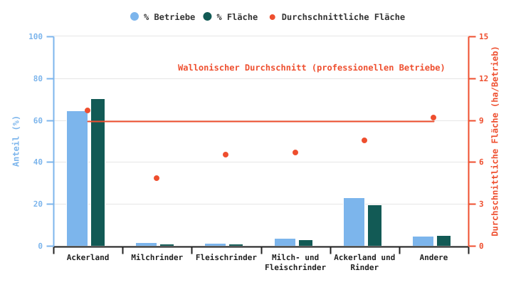 Anteil der professionellen Betriebe, die Industrie-Zichorien produzieren, und für diesen Anbau genutzte Flächen gemäß BWA im Jahr 2024