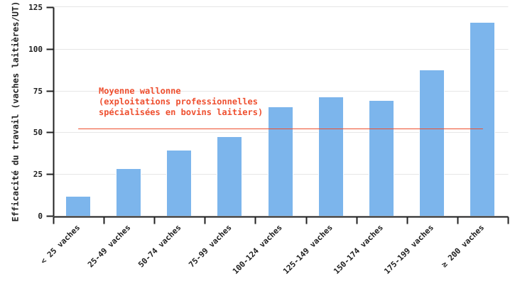 Efficacité de la main d’œuvre exprimé en nombre de vaches laitières par unité de travail en fonction de la taille de l’exploitation en 2023