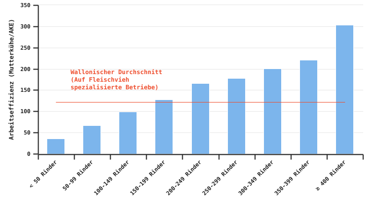 Arbeitseffizienz ausgedrückt in betreuten Rindern pro Arbeitskräfteeinheit in Abhängigkeit von der Betriebsgröße im Jahr 2023