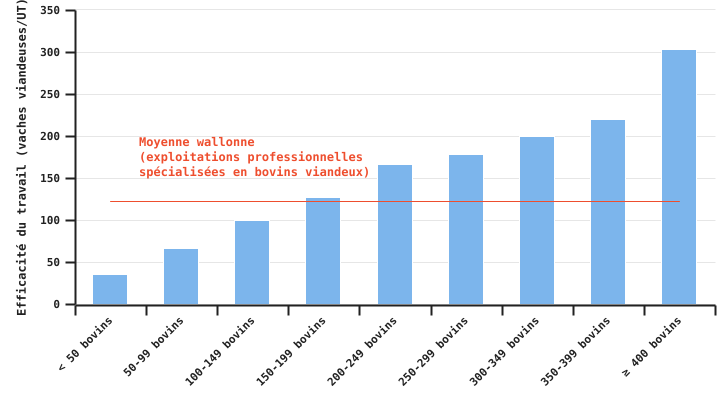 Efficacité du travail exprimé en bovins gérés par unité de travail en fonction de la taille de l’exploitation en 2023