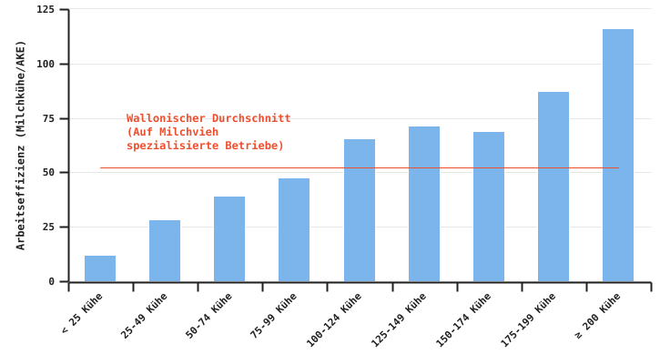 Arbeitseffizienz ausgedrückt als Anzahl der Milchkühe pro Arbeitskräfteeinheit in Abhängigkeit von der Betriebsgröße im Jahr 2023